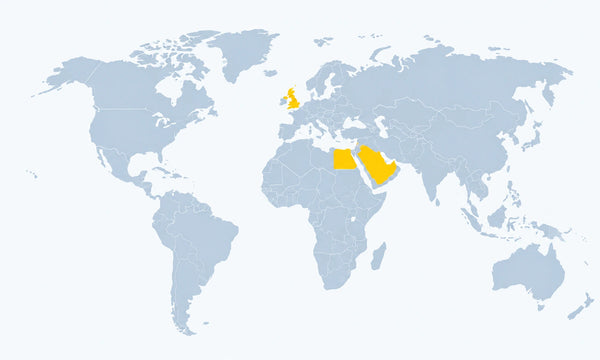 World Map